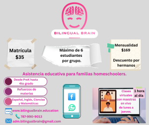 Bilingual Brain